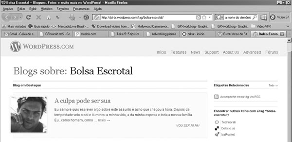 destaque_wordpress2